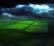 pic for Windows Grass 